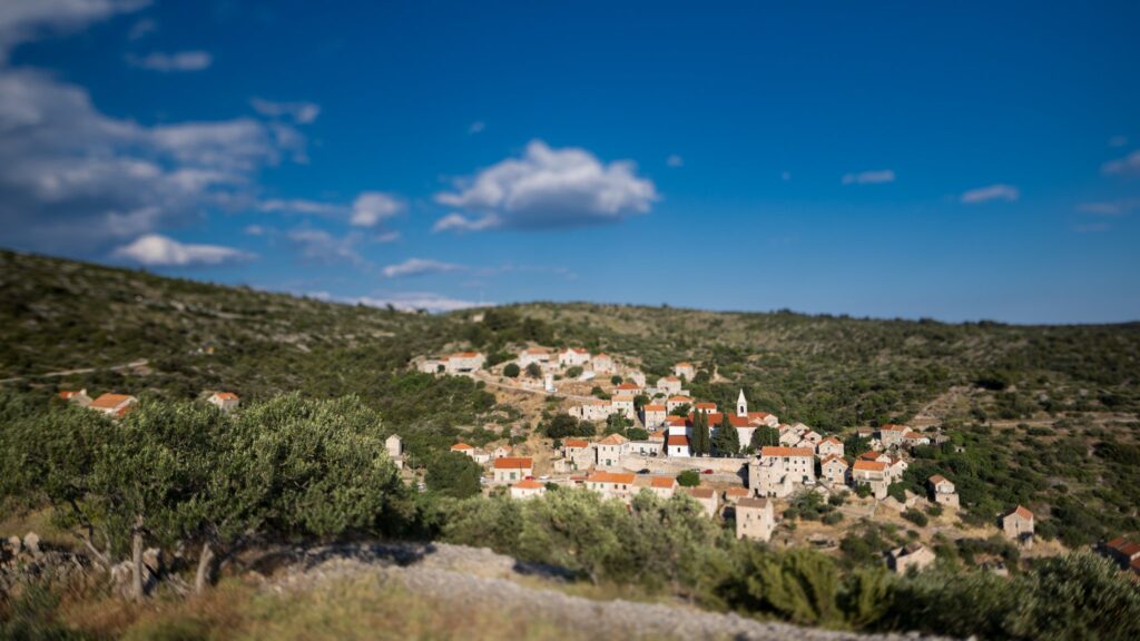 Velo Grablje on Hvar Island with olive trees on the surrounding hills