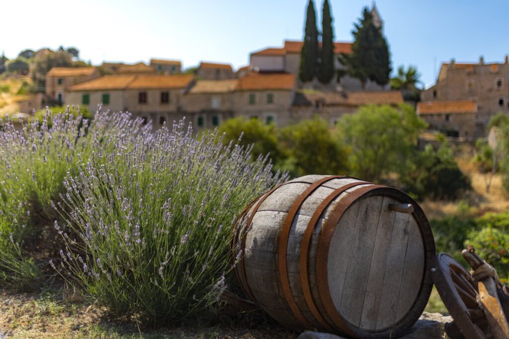 A wooden barrel, lavender plant and a small Mediterranean village in Dalmatia, something you can see during Hvar Lavender Tour by Hvar4You