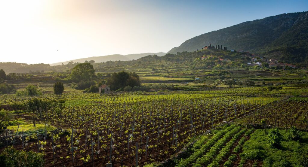 Stari Grad Plain, UNESCO protected World Heritage site on Hvar island in Croatia